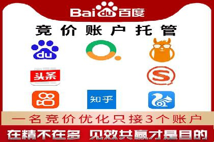 某某sem广告公司成功案例：如何通过SEM优化提高电商销售额